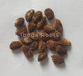 graines_iboga_seeds_quality_pure
