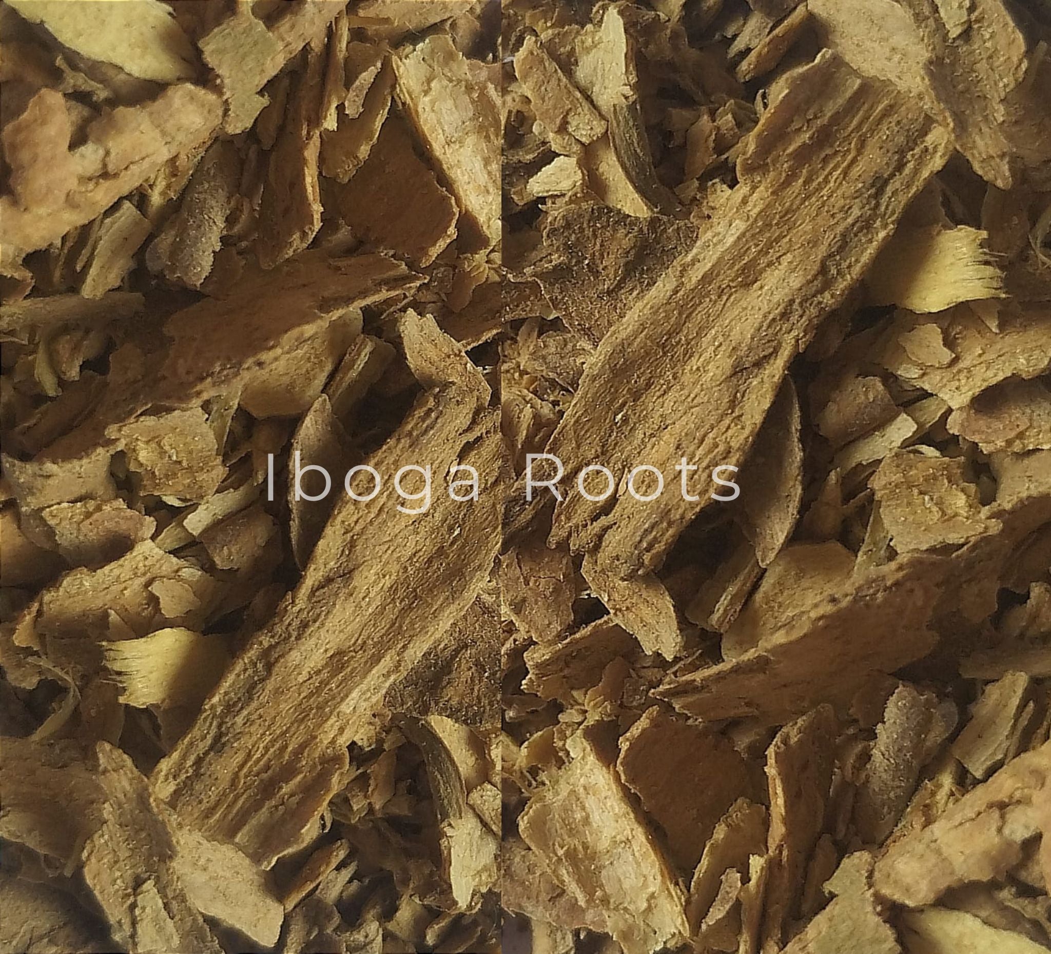 iboga_roots_racines_iboga_tabernathe